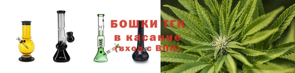 ECSTASY Вяземский