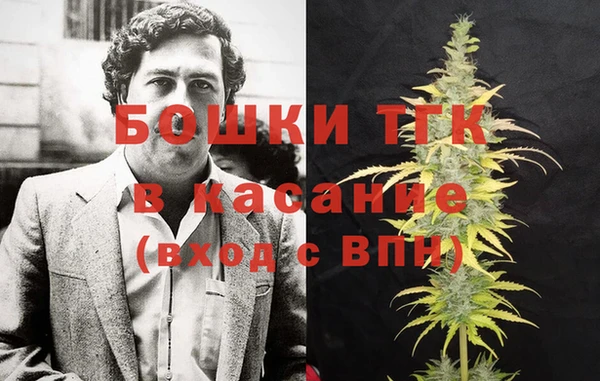 ECSTASY Вяземский